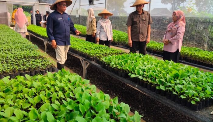 Bupati Rudy Susmanto Dorong Ketahanan Pangan, Distanhorbun Salurkan Puluhan Ribu Bibit