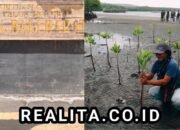 Semangat “Konservasi Mangrove Harus Berkelanjutan Demi Lindungi Abrasi laut dan Generasi akan datang