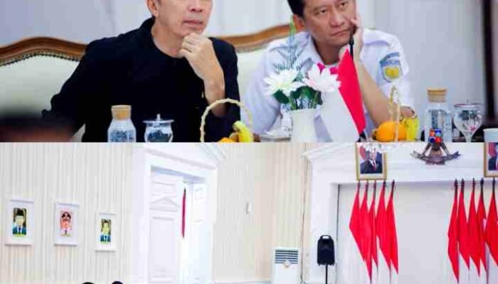 Stasiun Bogor Direvitalisasi, KRL Bogor–Lido Cigombong Segera Diaktivasi