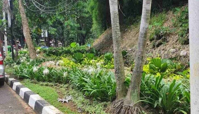 As-Ham Soroti Alih Fungsi Trotoar di Jalan Sukasari Bogor Timur, Setahun Lebih Belum Kembali Jadi Jalur Pejalan Kaki