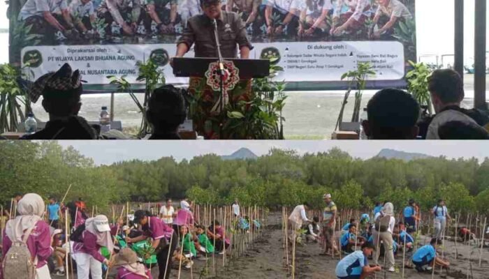 Sinergi Konservasi TNBB dan PT WLBA: Dari Restorasi Mangrove Hingga Rencana Pengembalian Banteng ke Bali