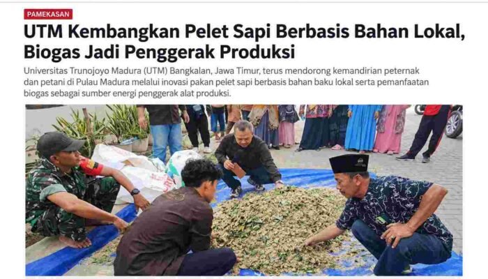 UTM Kembangkan Pelet Sapi Berbasis Bahan Lokal, Biogas Jadi Penggerak Produksi