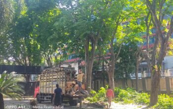 Langkah Preventif Jelang Musim Hujan: Sekretariat DPRD Lakukan Perantingan Pohon Perindangan