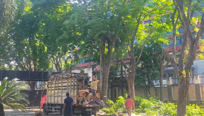 Langkah Preventif Jelang Musim Hujan: Sekretariat DPRD Lakukan Perantingan Pohon Perindangan