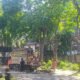 Langkah Preventif Jelang Musim Hujan: Sekretariat DPRD Lakukan Perantingan Pohon Perindangan