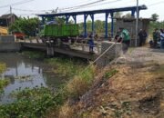 Kades Kedungringin Beji Apresiasi Penanganan Enceng Gondok, Harapkan Normalisasi Sungai Secara Kolaboratif