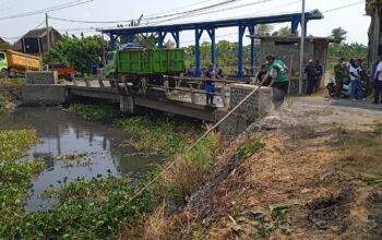 Kades Kedungringin Beji Apresiasi Penanganan Enceng Gondok, Harapkan Normalisasi Sungai Secara Kolaboratif