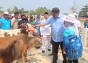 Rudy Susmanto Resmikan Pasar Hewan Jonggol, Perkuat Ekonomi Peternakan dan Dukung Pengembangan Bogor Timur